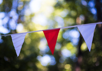 pink ribbon bunch with colorful flag decor for holiday party or happy birthday and celebration festival with national day on garden have space