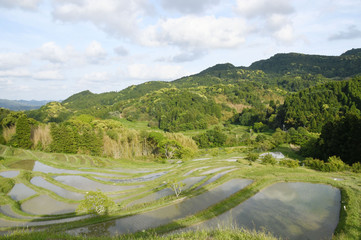 大山千枚田