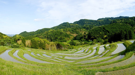 大山千枚田