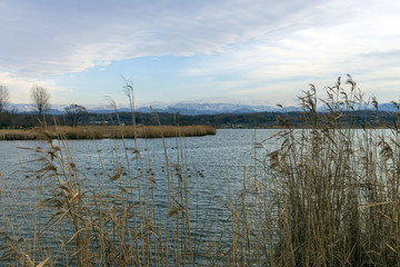 冬の湖　木場潟と白山