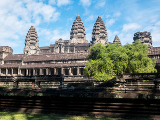 Fototapeta na wymiar Temple Angkor Wat with blue sky and a tree in Cambodia