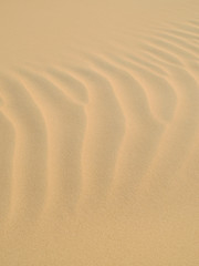 Fototapeta na wymiar Close up of ripple texture on a sand dune