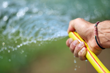 Farmer watering the plants