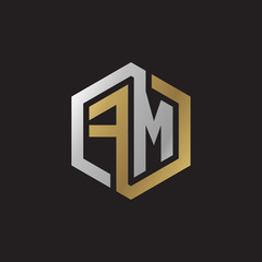 Initial letter FM, looping line, hexagon shape logo, silver gold color on black background