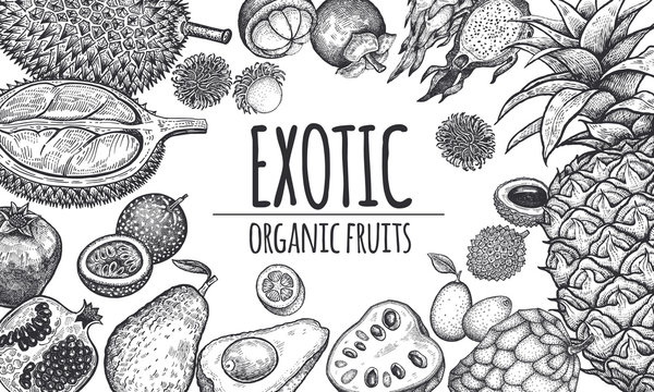Poster with exotic fruits.
