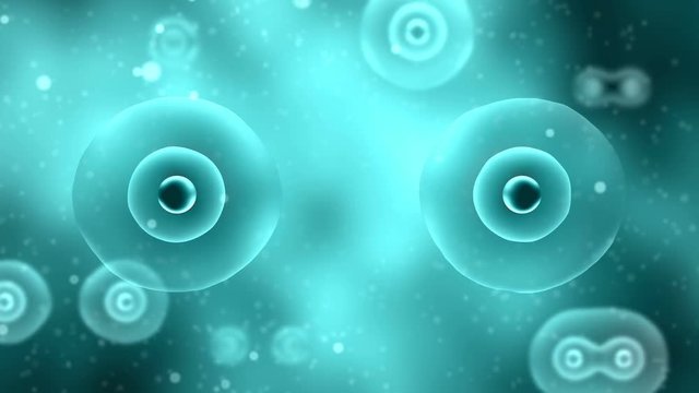 Animation of cell division process