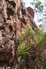Nourlangie Rock in Kakadu’s popular Burrungkuy region