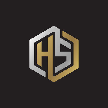 Initial letter HS, looping line, hexagon shape logo, silver gold color on black background