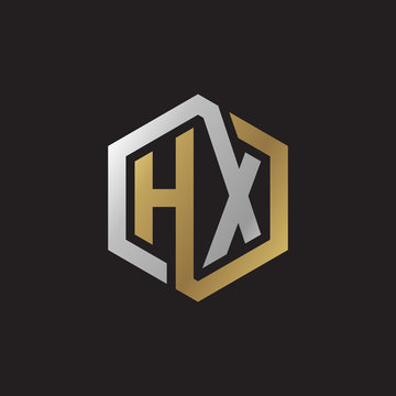 Initial letter HX, looping line, hexagon shape logo, silver gold color on black background