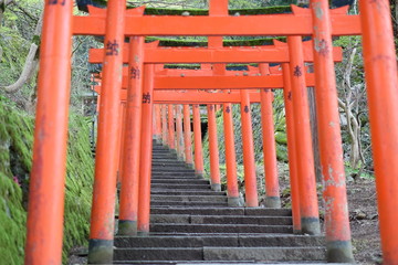 Fototapeta na wymiar Traditional Japanese gate 