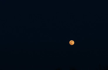 Full yellow moon on the dark sky background