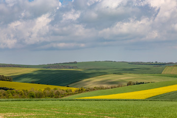 Obraz premium Sussex Spring Landscape