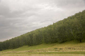 Fototapeta premium Grey clouds in the early autumn sky over green fields, trees, forests and huge mountains close. A lot of meadow herbs around. Evening, before rain. Travel through nature landscape