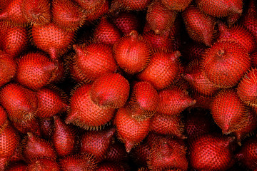 Salak fruit, Salacca zalacca, snake fruit is good for the body,Use for website/banner background, backdrop, montag menu