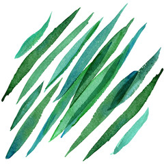 Watercolor hand painted green grass