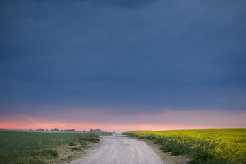 field green yellow against a background of thunderclouds.