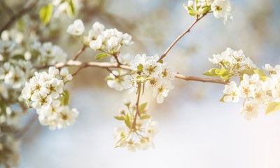 Spring.