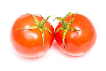 Two red tomatoes on a white background