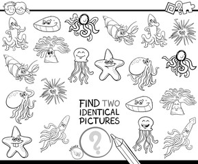 find two identical characters coloring book