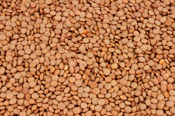 Uncooked brown lentil healthy food ingredient background