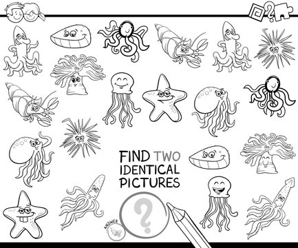 find two identical characters coloring book