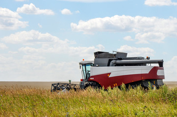 Naklejka premium Combine harvester working on the field