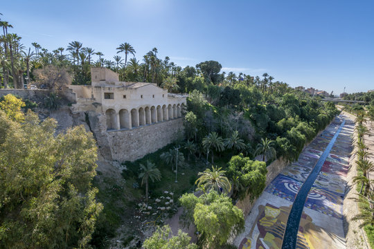 Vista del Palmeral de Elche, en la provincia de Alicante, Espa&ntilde;a. Patrimonio de la Unesco