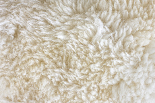White shaggy natural sheep fur texture for background 