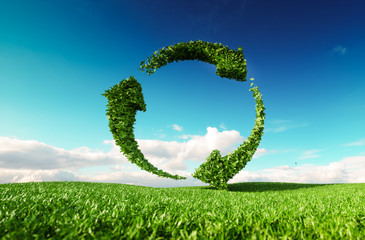 Sustainable development, eco friendly lifestyle concept. 3d rendering of arrow circle icon on fresh spring meadow with blue sky in background. - obrazy, fototapety, plakaty