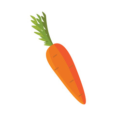 Ripe raw carrot with green halm leaves icon. Orange healthy food, vegetable full of vitamins. Fresh nutritions source, dieting and healthy life style symbol. Vector flat illustration isolated