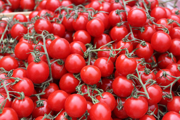 Fresh vegetable - tomatoes