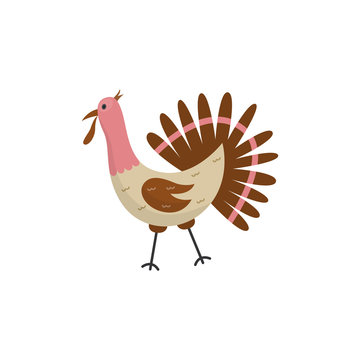 Flat funny turkey domestic bird icon. Thanksgivind day holiday symbol, poultry bird with beak, feathers. Cute rural animal used for meat. Vector hand drawn isolated illustration