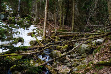 Naklejka premium Beautiful small mountain waterfall in forest