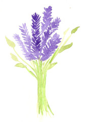 Fototapeta na wymiar watercolor lavender bouquet