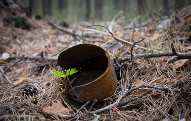 Rusty jar in the grass. Green sprout breaks through the rusty iron jar. The concept of environmental protection. Life force. Danger of wreckage in nature. Clogging the environment.