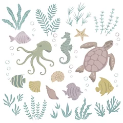 Glasschilderij Onder de zee Set van zeedieren en zeewier. Vector illustratie.