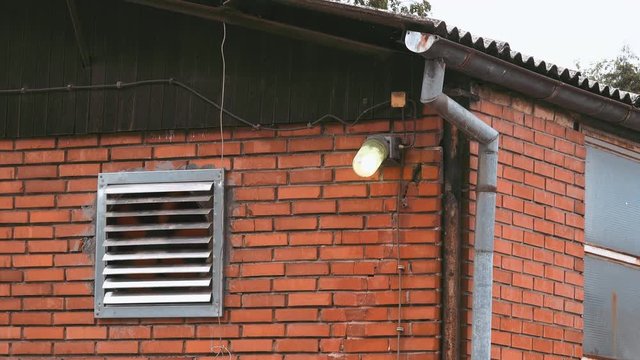 Industrial ventilation fan in operation on a pig farm