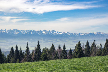 A very beautiful landscape with a valley and a forest, in the distance is seen a high mountain chain covered with snow