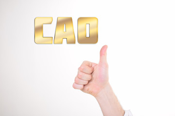 A businessman shows an inscription:CAO