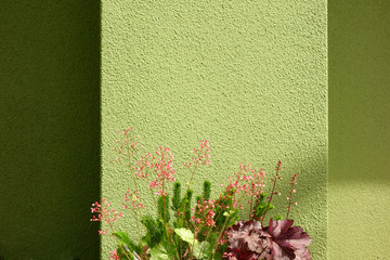 緑色の外壁と春の花