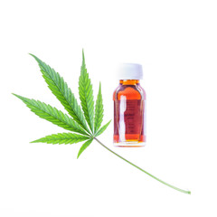 cannabis cbd product oil