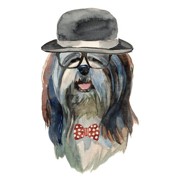Lhasa apso dog - watercolor realistic isolated hipster dog portrait