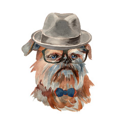 Brussels griffon dog - hand painted, isolated on white background watercolor hipster dog portrait