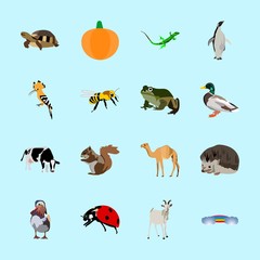 animals icons set