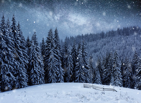 Dairy Star Trek in the winter woods. Mysterious winter landscape majestic mountains in winter
