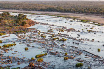 Elephants cross the Olifants river in the Kruger park, in a long line to get to the other side. Limpopo, South Africa.