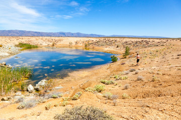 A man swims in a large pool of water in the Karoo  desert, the water collected in big pools after some heavy rains. Breede River D. C, South Africa.