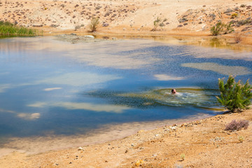 A man swims in a large pool of water in the Karoo  desert, the water collected in big pools after some heavy rains. Breede River D. C, South Africa.