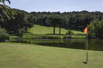 Golf course. Details