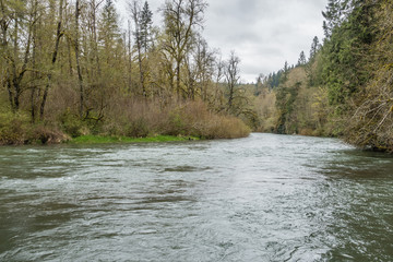 Spring Along The Green River 2